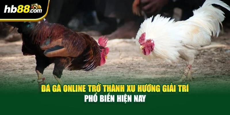 Đá gà online trở thành xu hướng giải trí phổ biến hiện nay