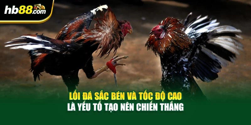 Lối đá sắc bén và tốc độ cao là yếu tố tạo nên chiến thắng