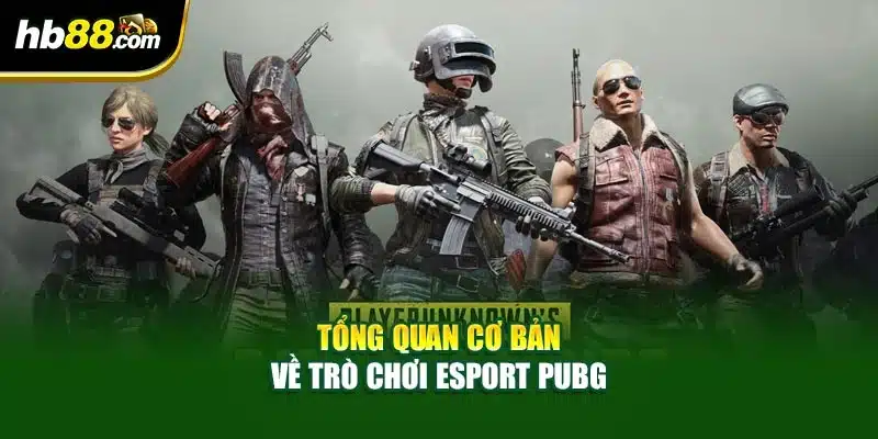 Tổng quan cơ bản về trò chơi Esport PUBG
