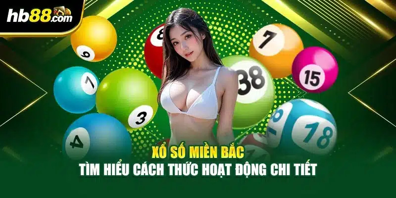 Xổ Số Miền Bắc – Tìm Hiểu Cách Thức Hoạt Động Chi Tiết