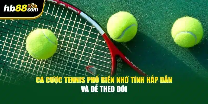 Cá cược tennis phổ biến nhờ tính hấp dẫn và dễ theo dõi