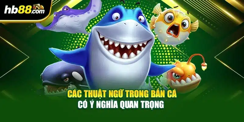 Các thuật ngữ trong bắn cá có ý nghĩa quan trọng 