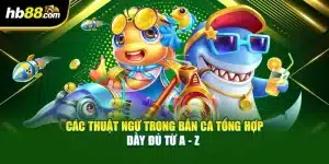 Các Thuật Ngữ Trong Bắn Cá Tổng Hợp Đầy Đủ Từ A - Z 