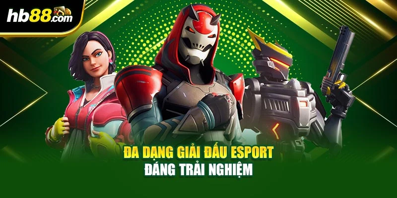 Đa dạng giải đấu esport đáng trải nghiệm