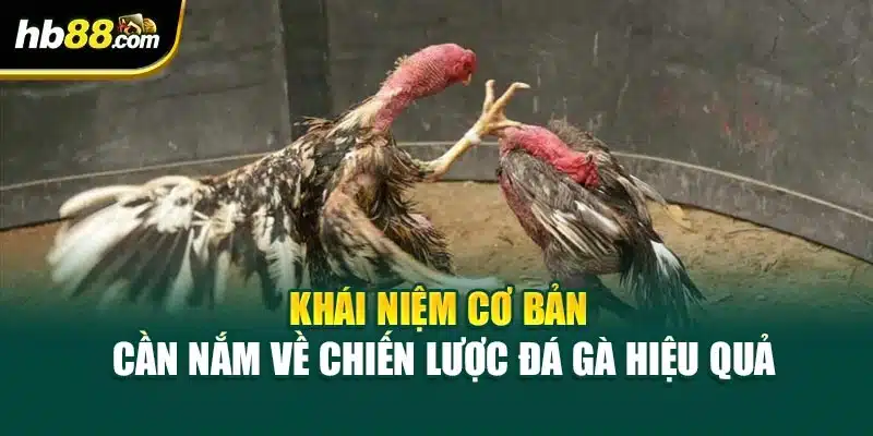Chiến Lược Đá Gà Hiệu Quả – Cách Tăng Tỷ Lệ Thắng Tại HB88 2 Khái niệm cơ bản cần nắm về chiến lược đá gà hiệu quả