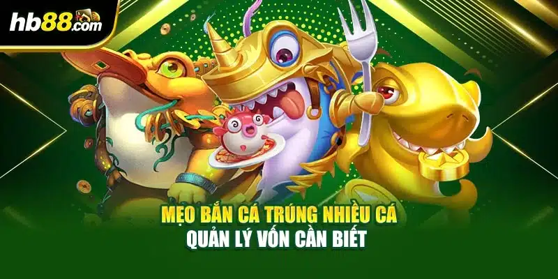 Mẹo bắn cá trúng nhiều cá quản lý vốn cần biết 