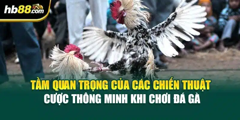 Tầm quan trọng của các chiến thuật cược thông minh khi chơi đá gà