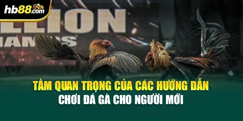Tầm quan trọng của các hướng dẫn chơi đá gà cho người mới 