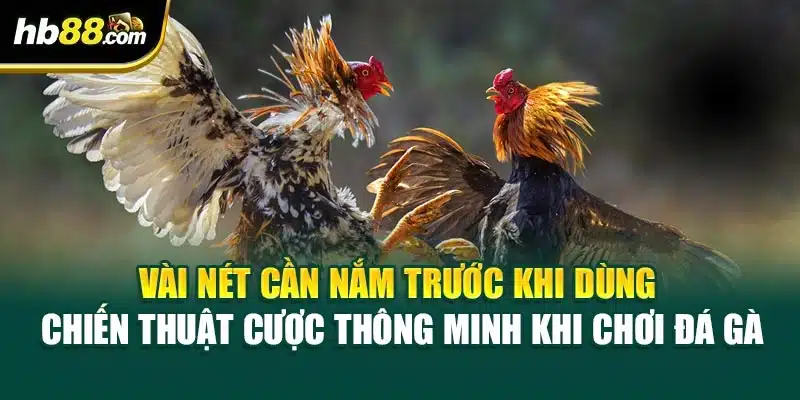 Vài nét cần nắm trước khi dùng chiến thuật cược thông minh khi chơi đá gà